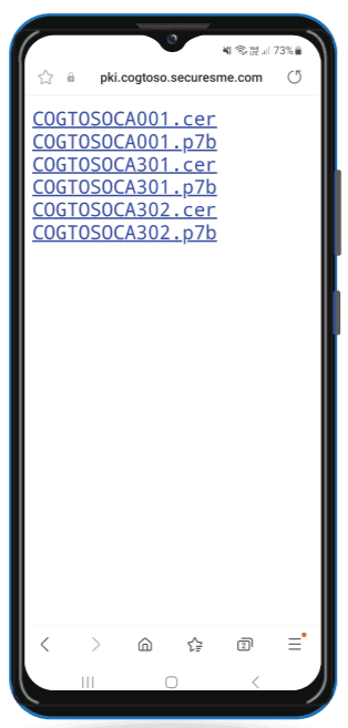 Certificate List