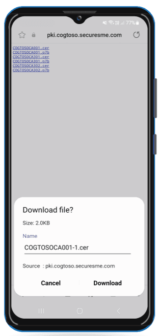 Download File
