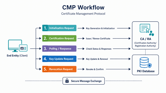 CMP workflow