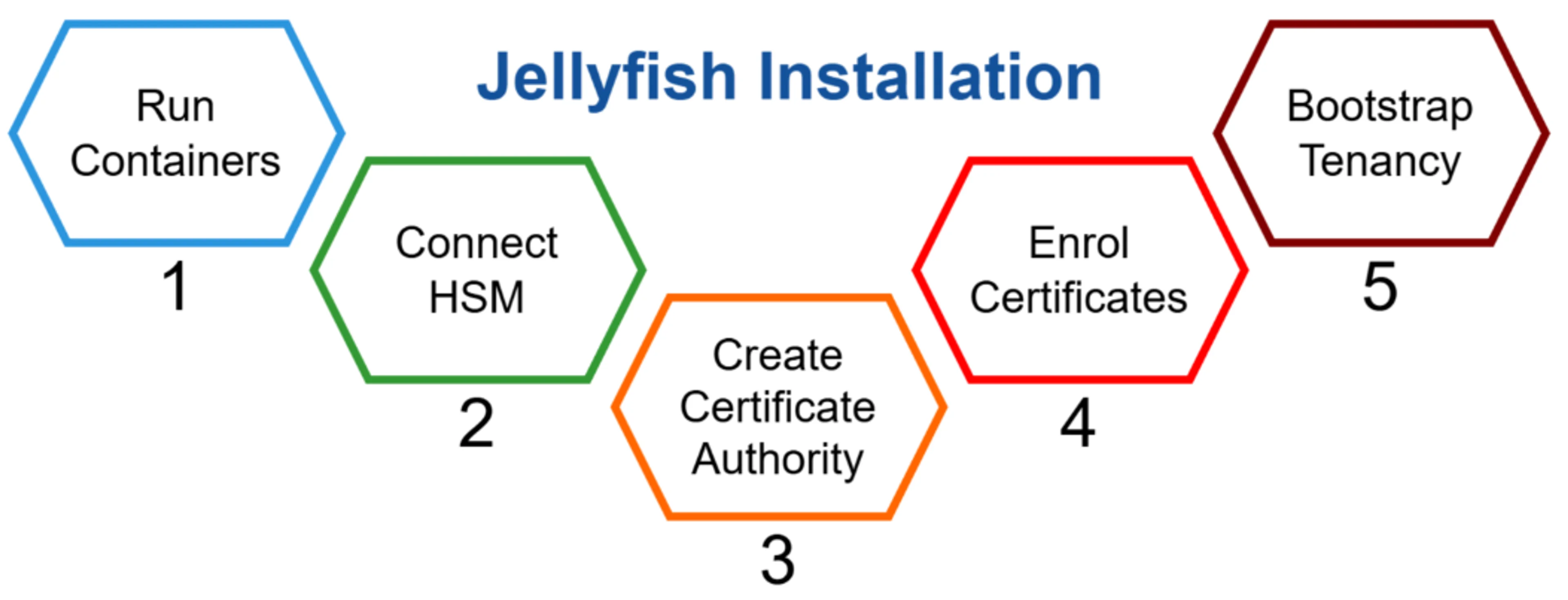 Jellyfish Installation 
