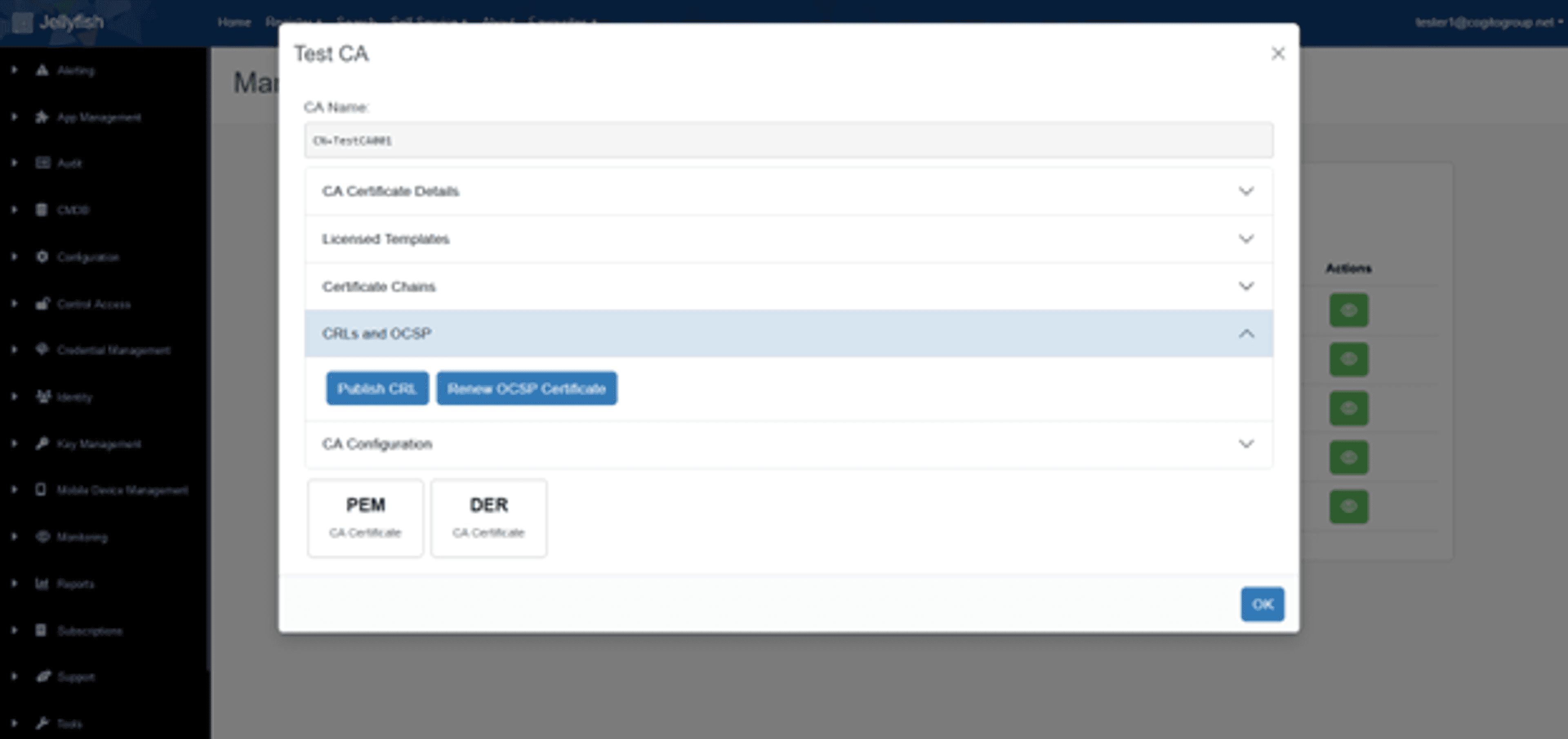 Managing a CA in Jellyfish
