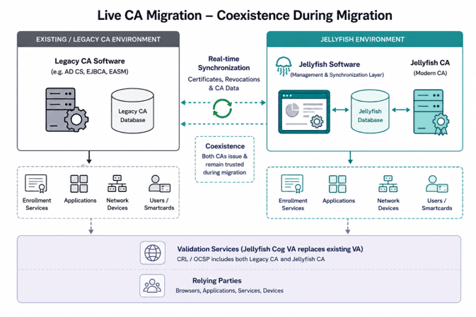 Jellyfish CA Live Migration